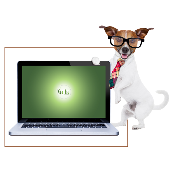 Calla Marketing